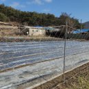 고석농장 이미지