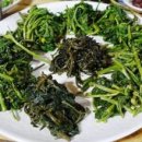 오대산내고향 이미지