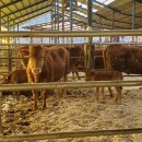 증산목장 이미지