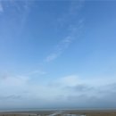 대양교 공중화장실(도로변) | [태안]청포대 해수욕장 야간 해루질 후기 : 물때/조과물/편의시설 (7물 4월초)