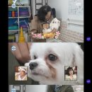 알콩이달콩이