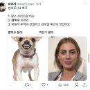 오늘 개봉한 ＜범죄도시4＞에서 반응 터지고있는 캐릭ㅋㅋㅋ 이미지