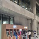 마이스피드무인항공 | 세부퍼시픽 항공 5J131,5J130 탑승 후기 (막탄 공항 ATM 위치 꿀팁)