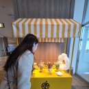 전망조형물 | 속초 &#39;카시아속초호텔앤리조트&#39; 에서 &#39;프리미어 킹(바다전망)&#39;숙박 후기