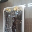동해 꼬마김밥 이미지