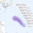 태풍이네 이미지