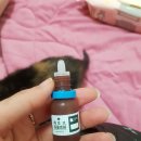 페토브 동물병원 이미지