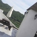 하하하펜션 이미지