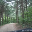 용대자연휴양림캠핑장 이미지