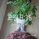 이몽팩토리 | 코가막히니 정신이몽롱.. (코로나2일차) 미싱꺼내다!