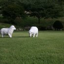 오재울농장 이미지