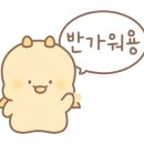 어베인호텔 이미지