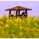 하늘정원1 이미지