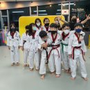 새봄태권도 이미지