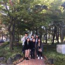 네추럴테라피