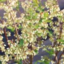 한길농부 농장 이미지