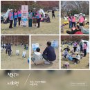 속초영랑호 벚꽃축제 이미지