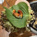 도두리로 | 계양구청맛집 한마음정육식당 인천계양점 프리미엄 자포니카 장어 후기