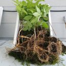 늘해랑농원 이미지