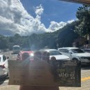 비자림 | 제주 동부여행 가볼만한곳 비자림 후기