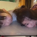 드래곤 키즈 풀빌라 펜션 이미지