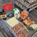 행복슈퍼-상봉 | 코스트코상봉 15만원 장보기 치자키소스 엑스트라버진올리브오일 등