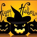 차암 한얼 태권도 이미지