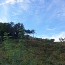 광현농장 이미지