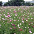 터미널 개방 이미지