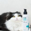 민덴탈랩 이미지