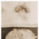 도화동물병원 이미지