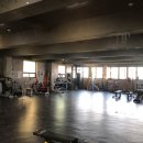 민트고래 이미지