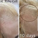 김진철 헤어 이미지