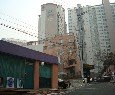 삼덕로 63번길19-1 네이버블로그