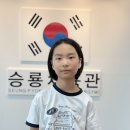 26년 3/4분기 국기원 심사자 이미지