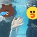 진양호캐리비안워터파크 이미지