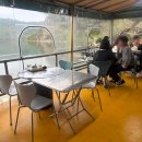 오륜대로 | 오륜대 오리고기 부산 울산집 솔직 후기｜뷰는 최고, 맛은 과연?