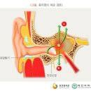 생활질환입원일당보장 특별약관 (아토피피부염‧중이염‧축농증)(보험금의 지급사유) 이미지