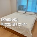엘르 - 포항시 북구 동해대로1954번길 7 | 엘르 양모 이불 혼수 후기, 양모 이불 세탁법 건조기 꿀팁