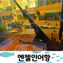 엔젤인어항 | [엔젤인어항] 충남 아산 감성 힐링 공간, 엔젤인어항 솔직한 방문 후기!