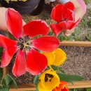 아이보듬어린이집 이미지