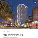 라벤다호텔 | 다낭 가성비 호텔로 유명한 라벤더 리버사이드 호텔 솔직 팩폭 후기