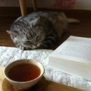 둘레길민박 이미지