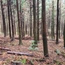 연동목장 이미지