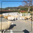 미원어린이집 | [해운대 수목원] 부산여행 무료로 아이와가볼만한곳 월요일 운영 헬기 관람후기