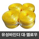 유성