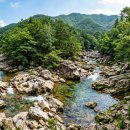산천펜션민박 | 전주·대전에서 1시간, 한여름에도 얼음장 계곡 '완주'로 떠나는 이유