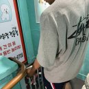 에바 가위컷 전문점 | 화곡동 애견미용 에바가위컷 스파 후기