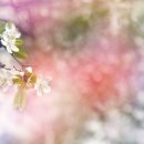 화생당한의원 이미지