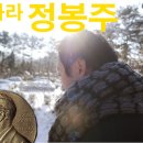 "이그노벨상"을 아시나요?? 이미지